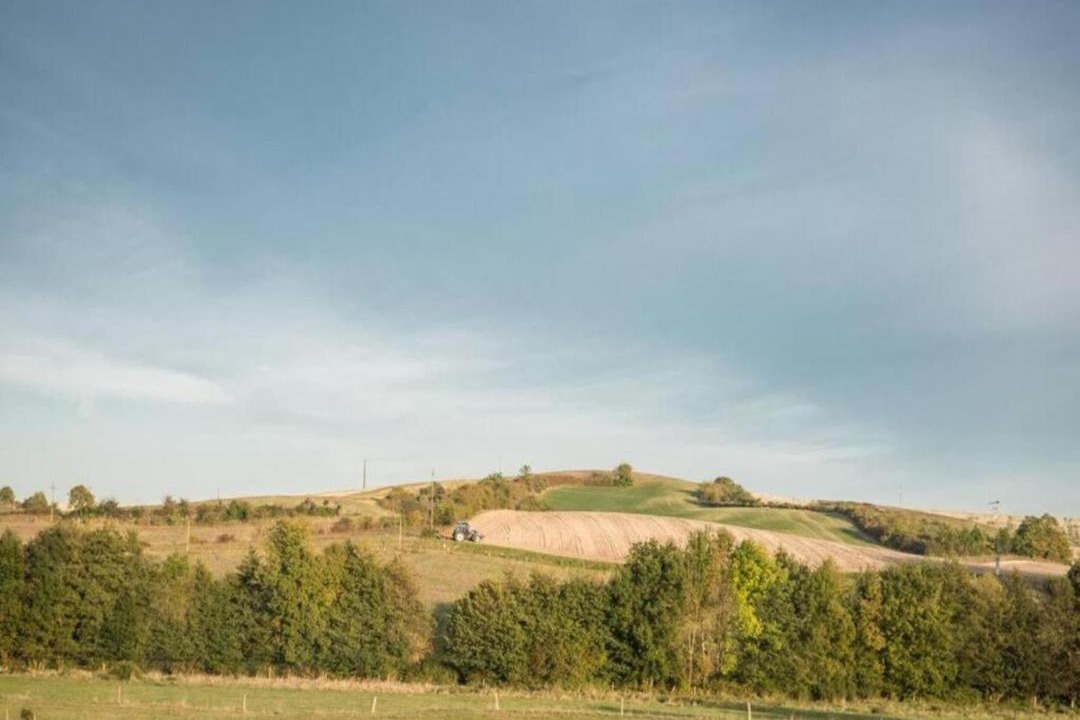 Photo of Others in Chalais