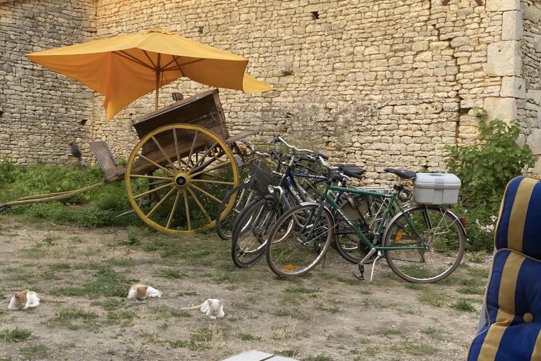 Photo of Others in Champagne-le-Sec