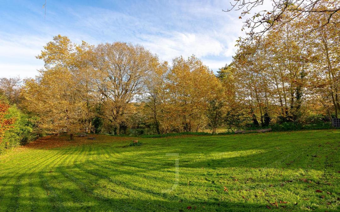 Photo of Others in Sauveterre-de-Bearn