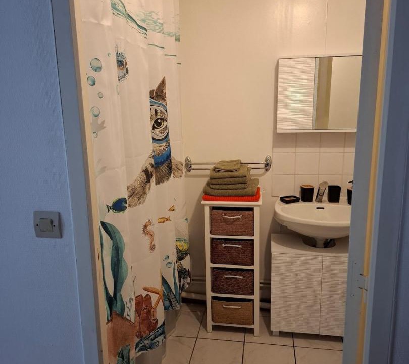 Photo of Bathroom in Moussais-la-Bataille