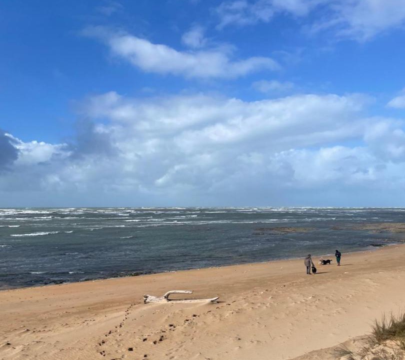 Photo of Others in Saint-Pierre-d'Oleron