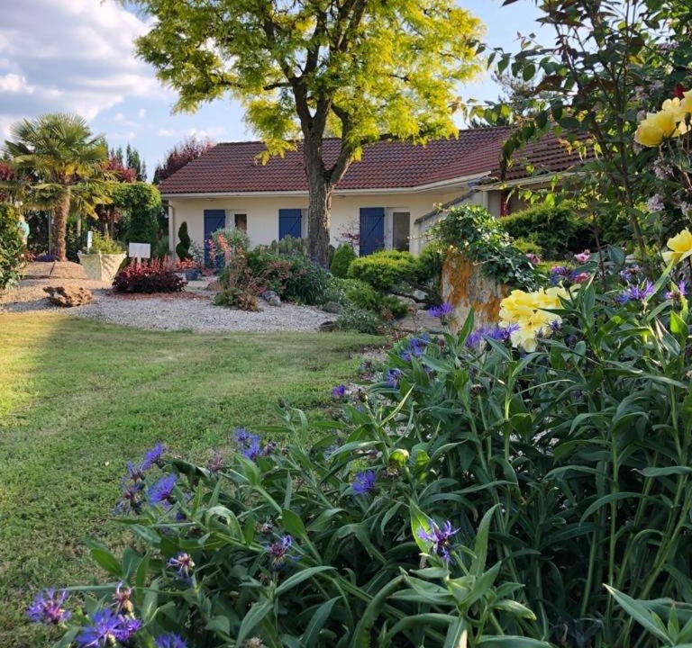 Photo of Others in Neuville-de-Poitou