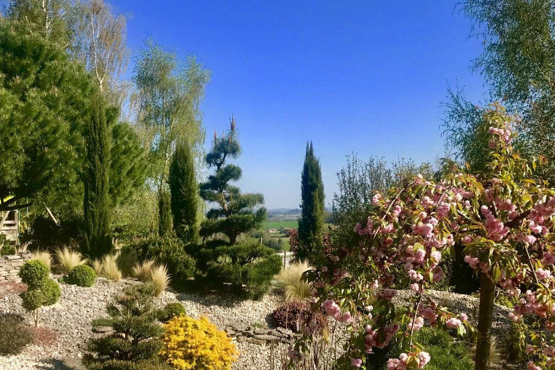 Photo of Others in Saint-Cyr-les-Champagnes