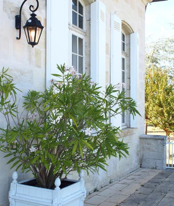 Photo of Others in Martillac