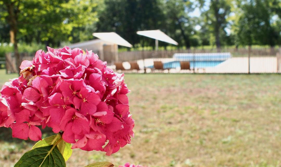 Photo of Outdoor in Martillac