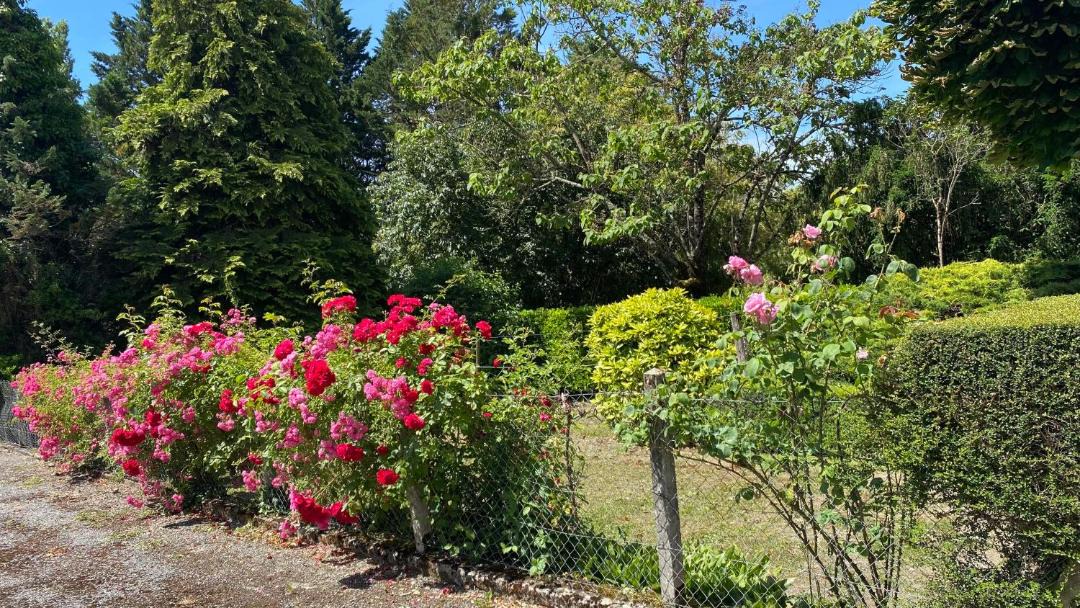 Photo of Outdoor in Nonac