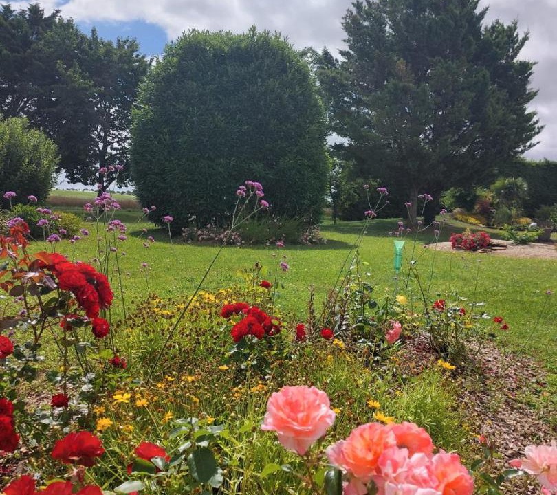 Photo of Others in Neuville-de-Poitou