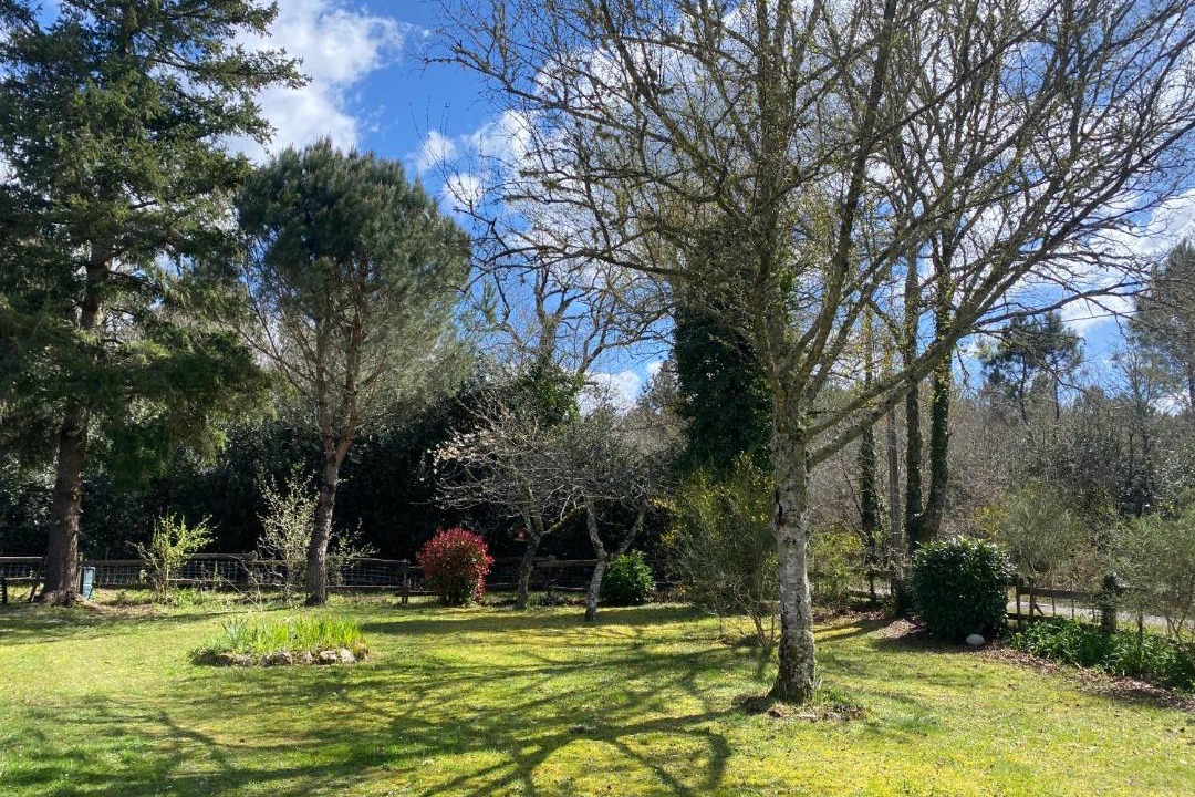Photo of Outdoor in Salles