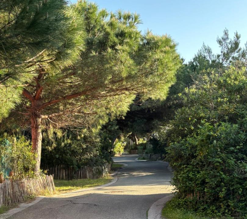 Photo of Outdoor in La Capte