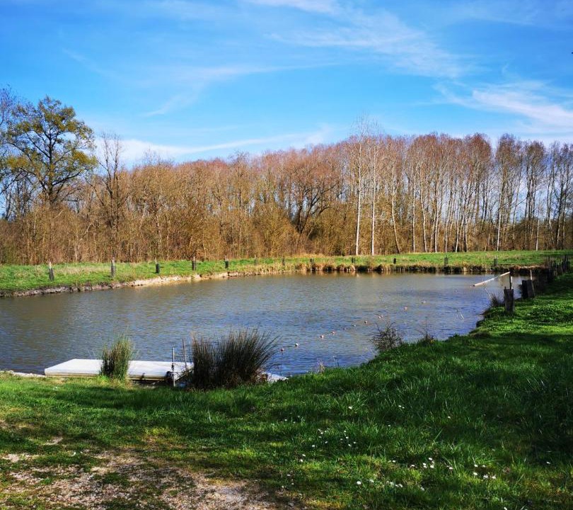 Photo of Others in Saint-Hilaire-la-Palud