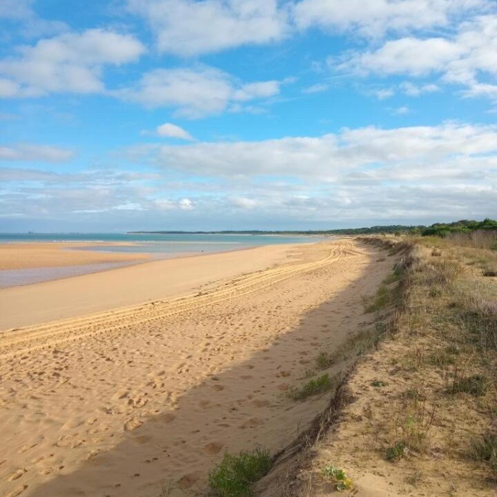 Photo of Others in Saint-Georges-d'Oleron