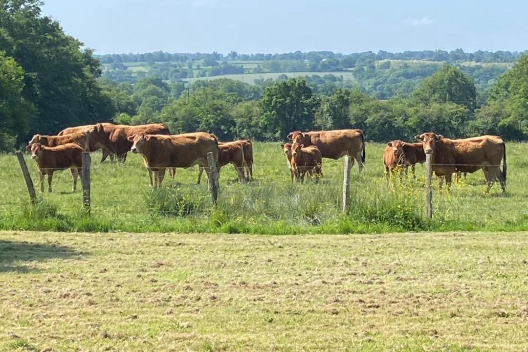 Photo of Others in Thollet