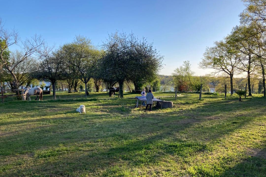 Photo of Others in Saint-Quentin-sur-Charente