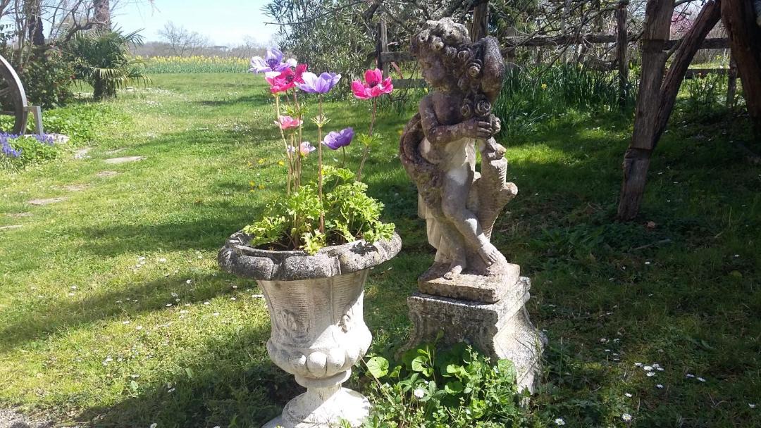 Photo of Others in Salies-de-Bearn