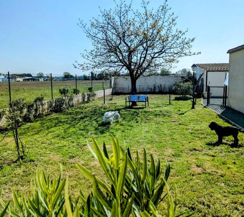 Photo of Others in Aigrefeuille-d'Aunis