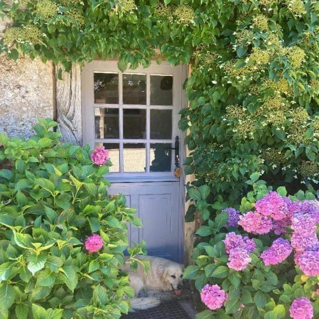 Photo of Others in Lavaur
