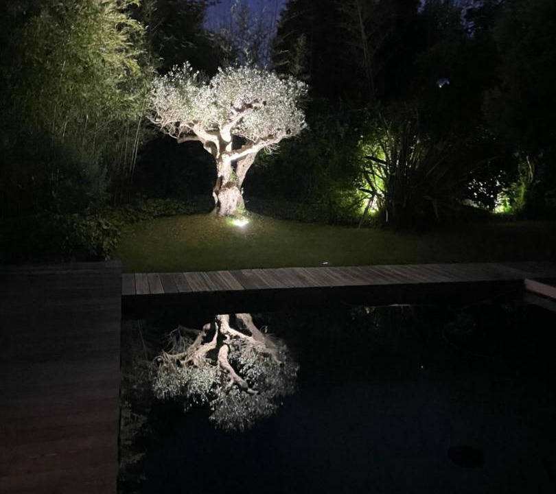 Photo of Outdoor in Saint-Georges-d'Oleron