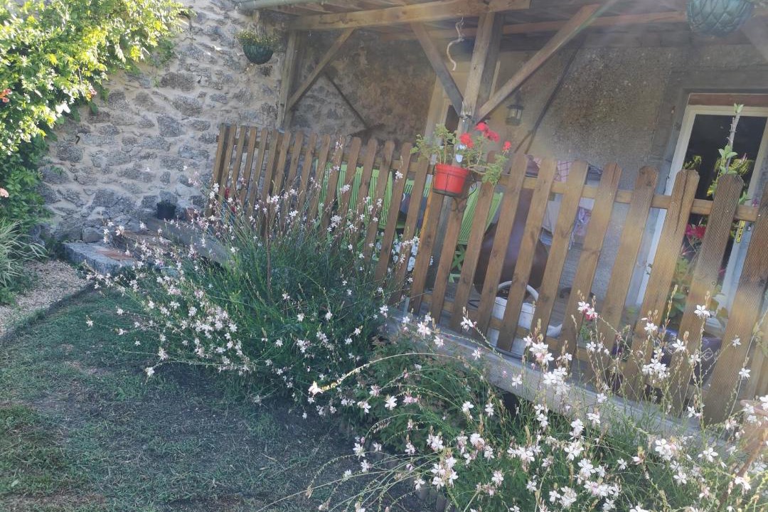 Photo of Others in Saint-Estephe