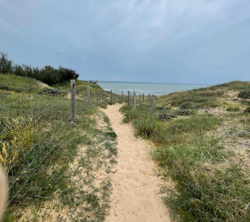 Photo of Others in Saint-Pierre-d'Oleron