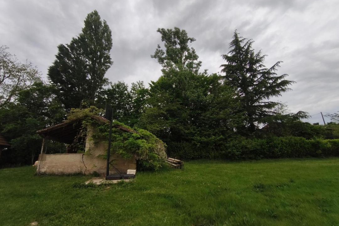 Photo of Others in Saint-Jean-d'Eyraud