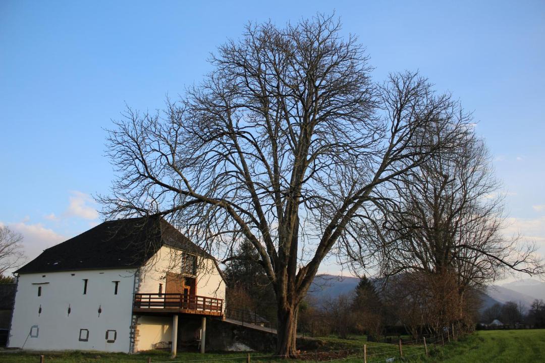 Photo of Others in Alos-Sibas-Abense