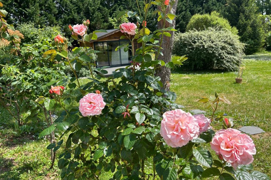 Photo of Outdoor in Varaignes
