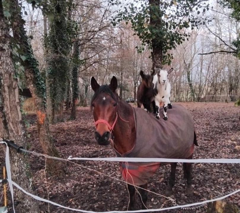 Photo of Others in Saint-Aubin-de-Nabirat