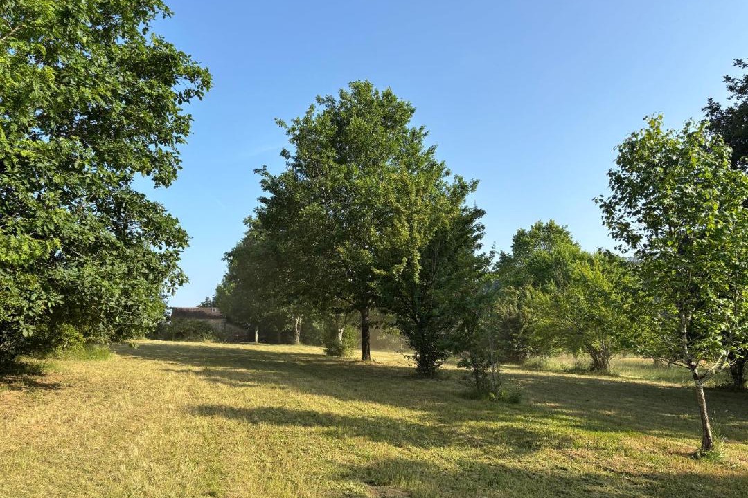 Photo of Others in Calviac-en-Perigord