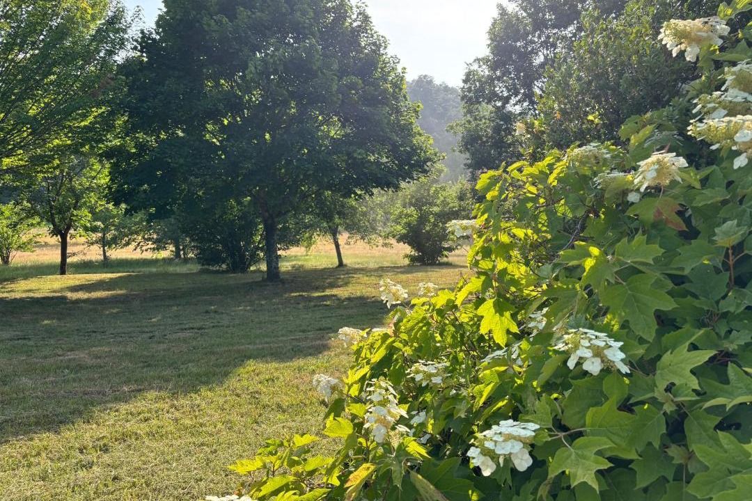 Photo of Outdoor in Calviac-en-Perigord