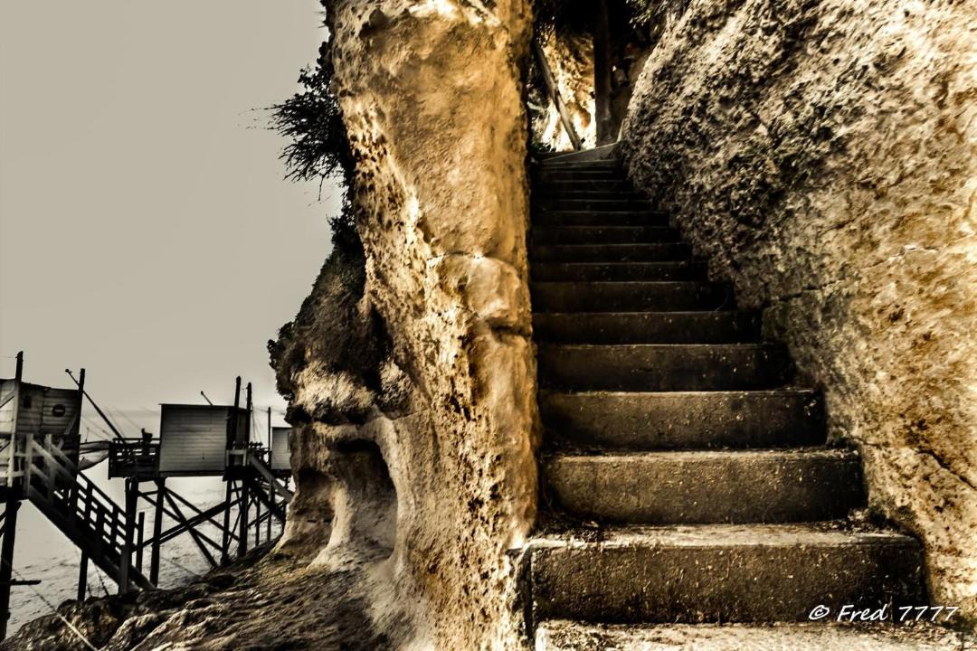Photo of Others in Meschers-sur-Gironde