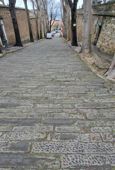 Photo of Others in Pescia