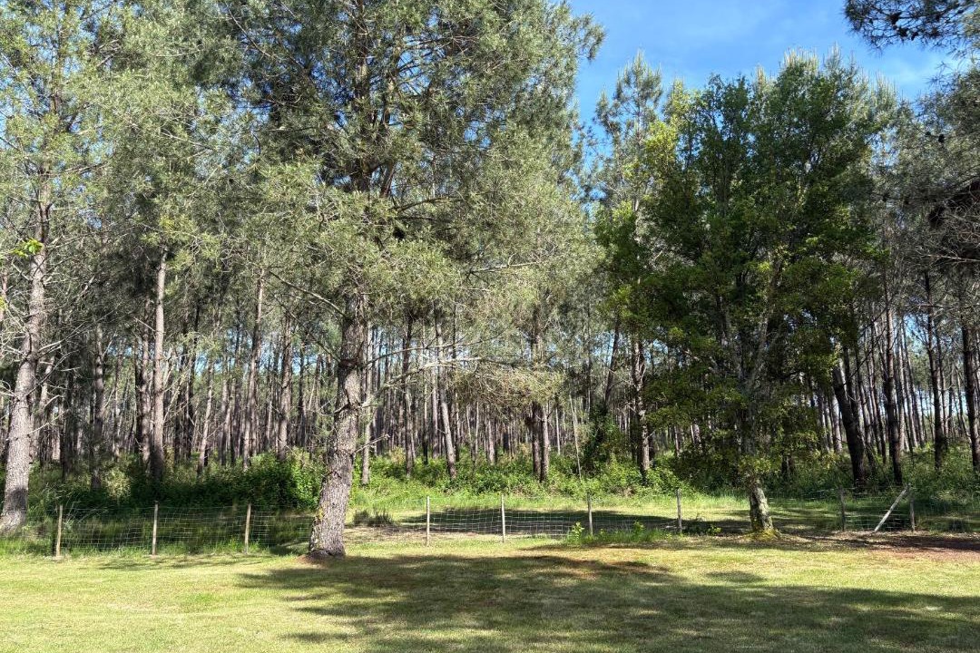 Photo of Outdoor in Levignacq