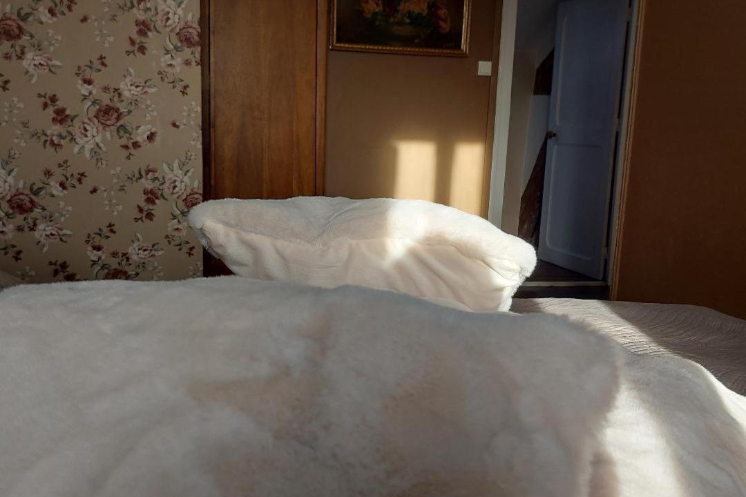 Photo of Bedroom in Magnac-Laval