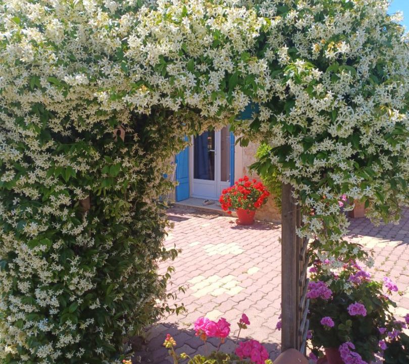Photo of Others in Saint-Pierre-d'Oleron
