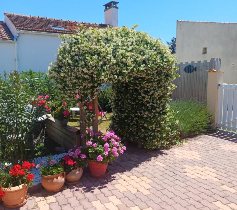 Photo of Others in Saint-Pierre-d'Oleron