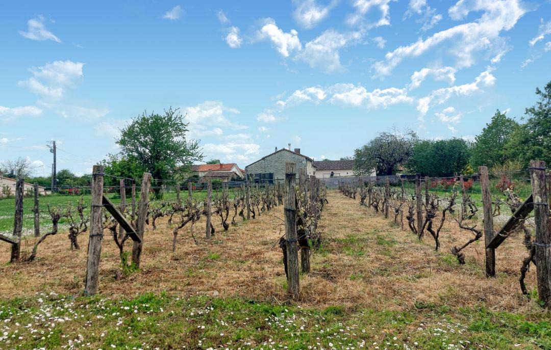 Photo of Others in Savigne