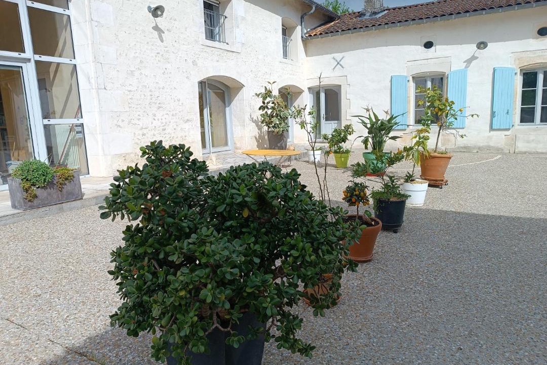 Photo of Others in Saint-Maigrin