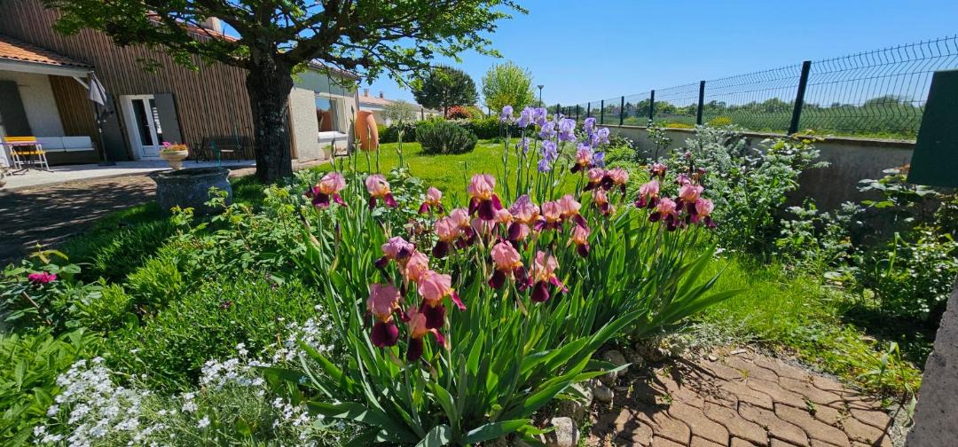 Photo of Outdoor in Les Gonds