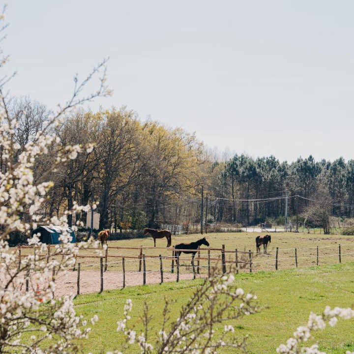Photo of Others in Clerac