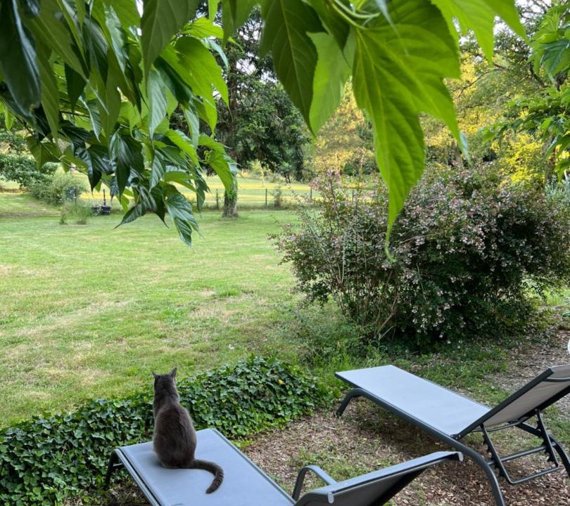 Photo of Outdoor in Seignosse
