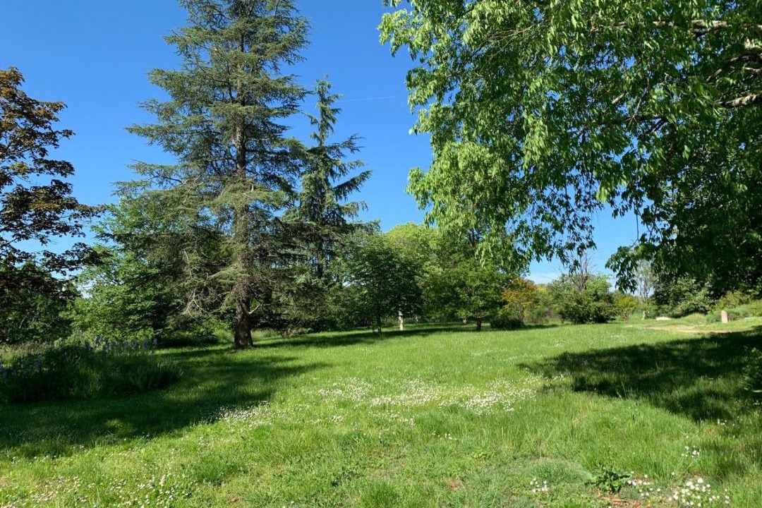 Photo of Others in Saint-Antoine-de-Ficalba