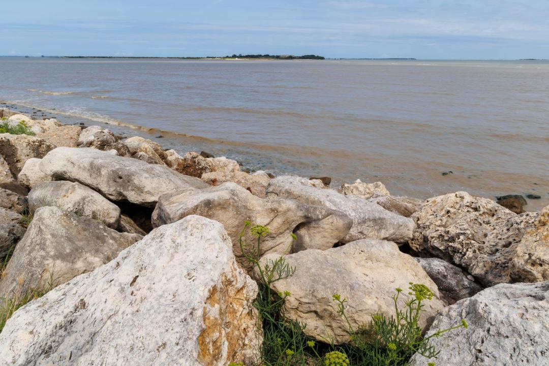 Photo of Others in Port-des-Barques