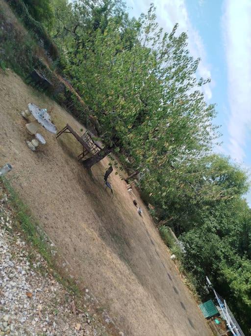 Photo of Outdoor in Corgnac-sur-l'Isle