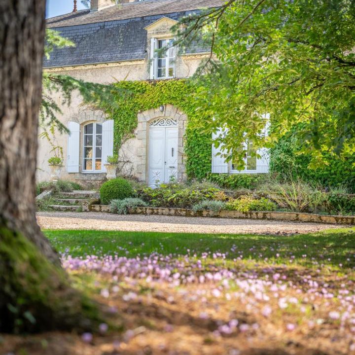 Photo of Others in Sainte-Alvere