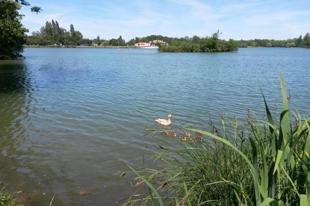 Photo of Others in Saint-Yrieix-sur-Charente
