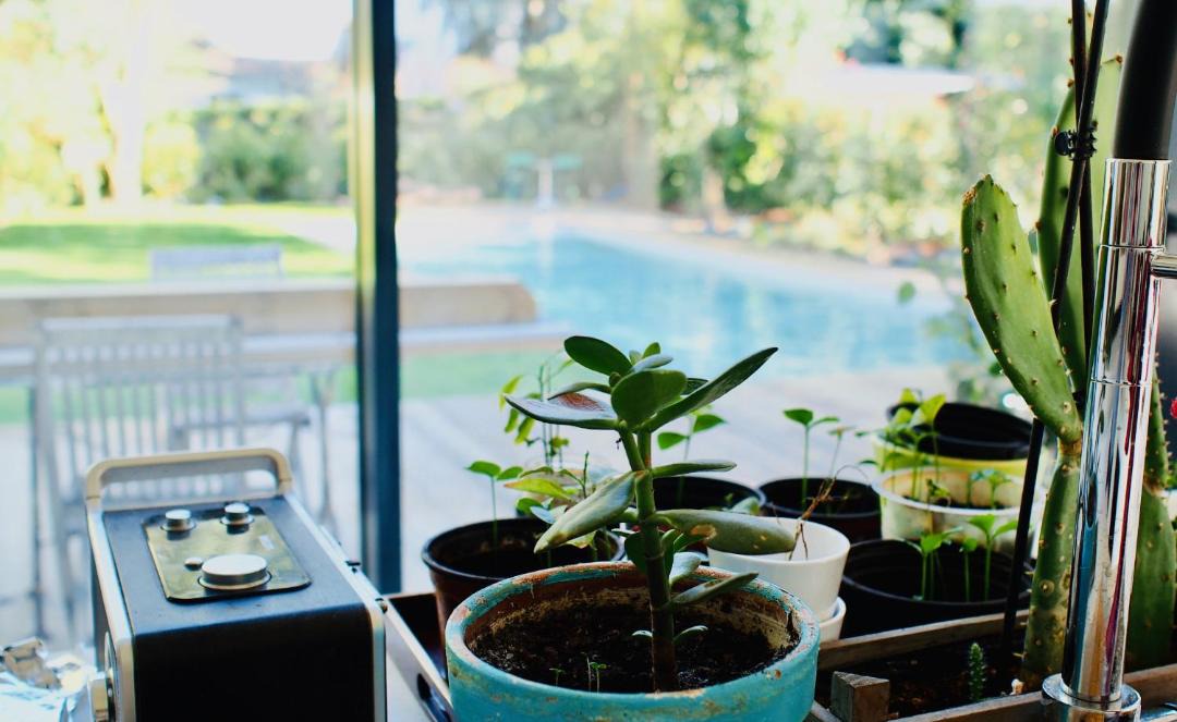 Photo of Patio Balcony in Cauderan
