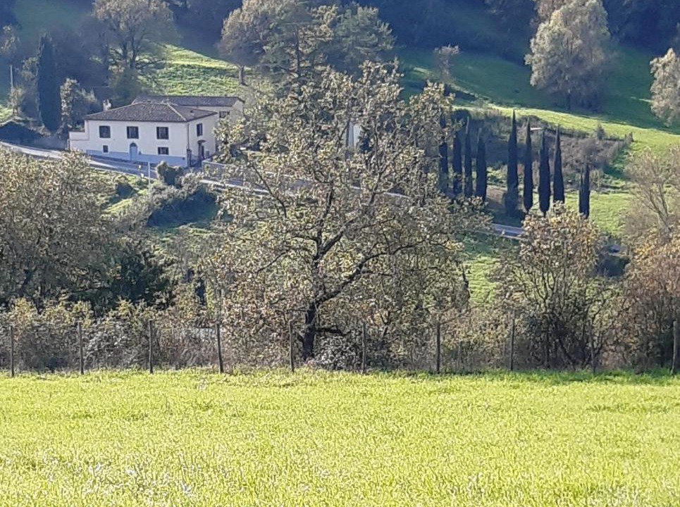 Photo of Others in Pratolino