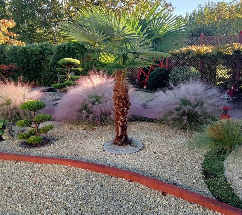 Photo of Outdoor in Saint-Medard-de-Guizieres