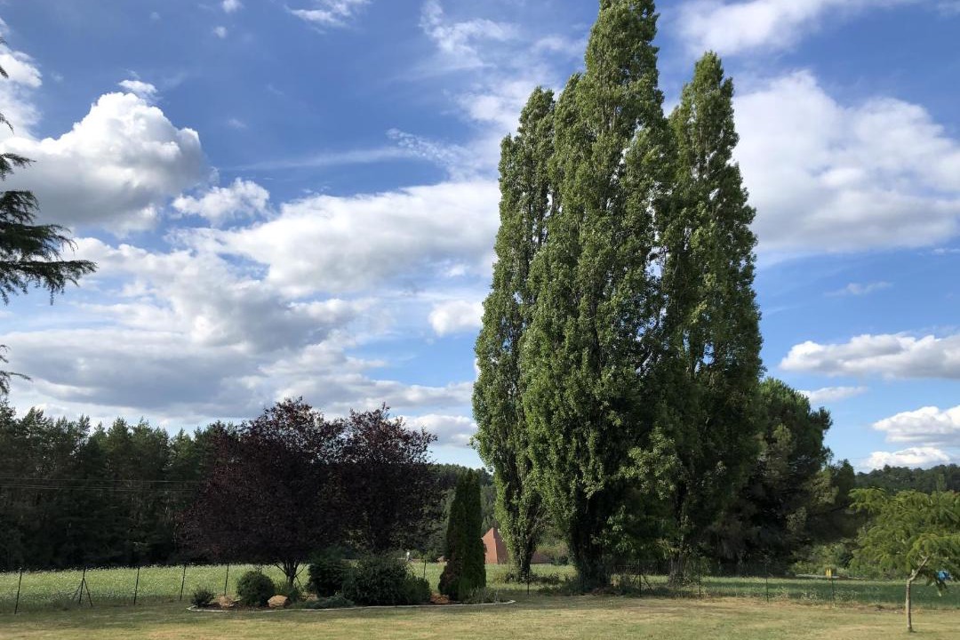 Photo of Outdoor in Blis-et-Born