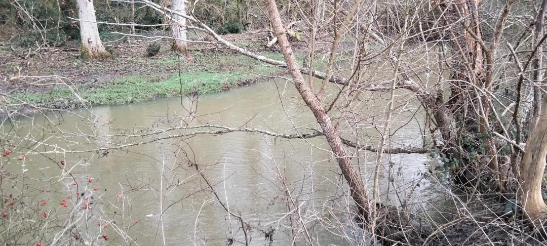 Photo of Others in Usson-du-Poitou